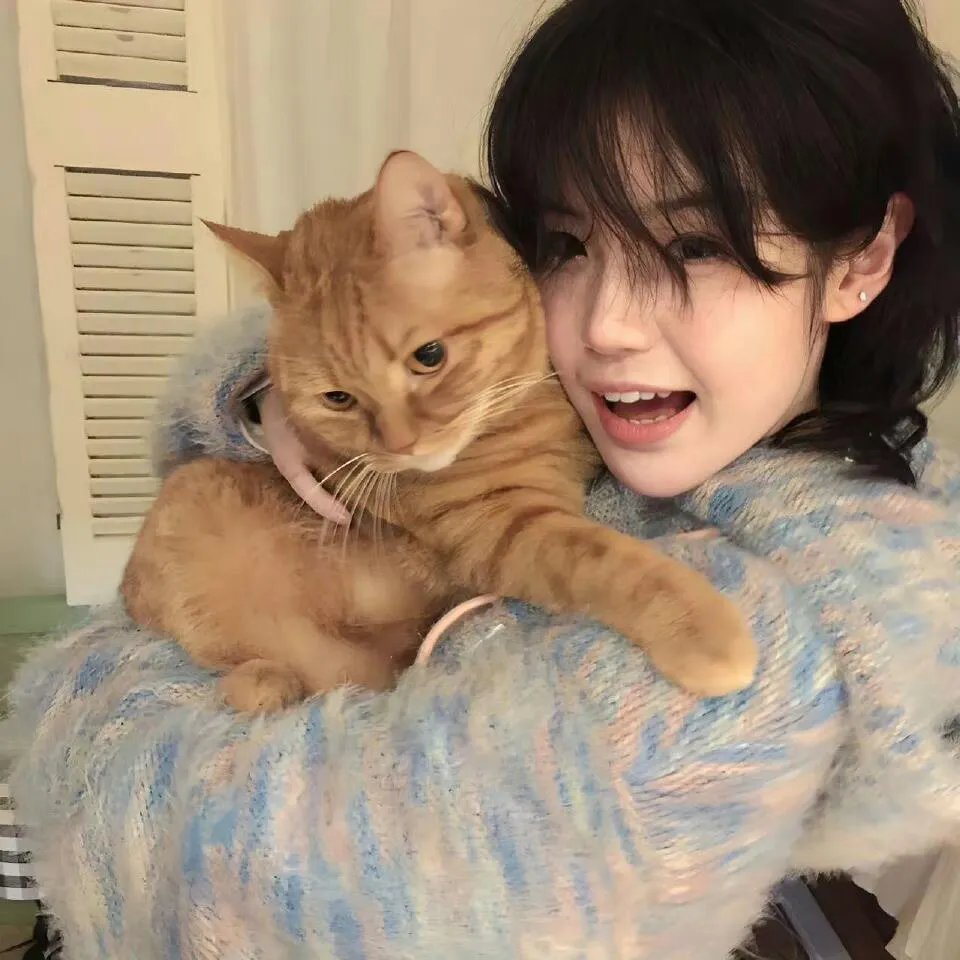 偶然路过的街